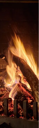 Flames rising from the logs in the fireplace