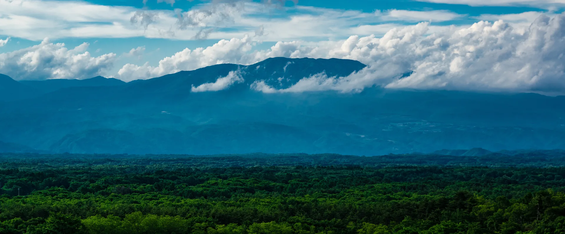 Deep green forest of Kita-Karuizawa spreading below a cloud-wreathed mountain ridge